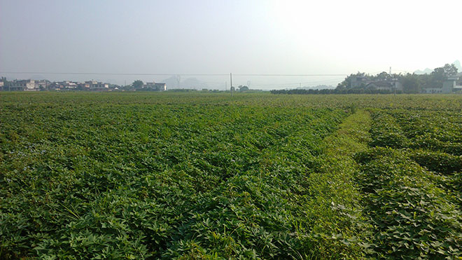 基地场景