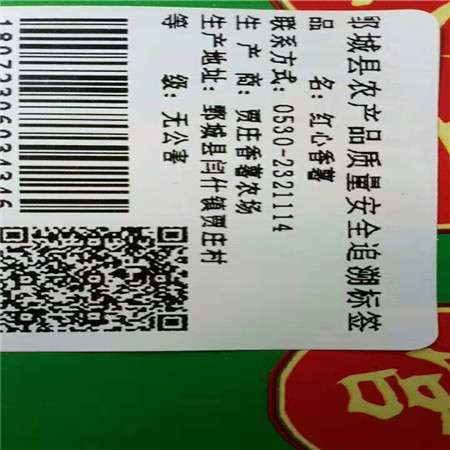红心香薯